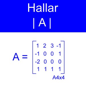 algebra lineal: calculo determinantes orden 4x4 cofactores con mayor cantidad  ceros