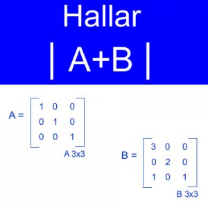 algebra lineal: calculo determinantes a+b