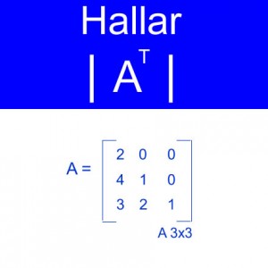 algebra lineal: calculo determinantes at