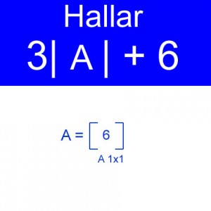 algebra lineal: calculo de determinanantes 3a+6