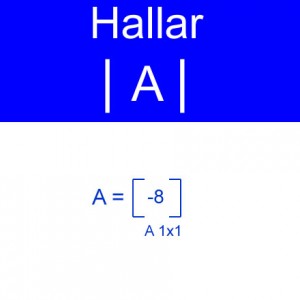 algebra lineal: determinante de orden 1x1 negativo