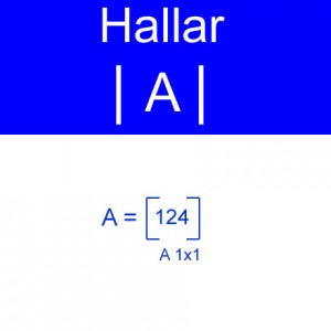 algebra lineal: calculo de determinante de orden 1x1