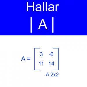 algebra lineal: calculo de determinantes un valor negativos y valores decenales