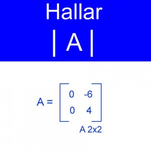 algebra lineal: calculo de determinantes columna ceros