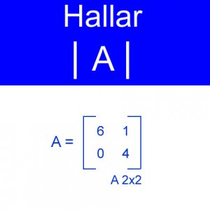 algebra lineal: calculo determinantes A2x2 positivos