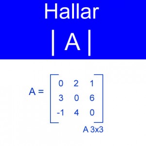 algebra lineal: calculo determinantes ceros diagonal