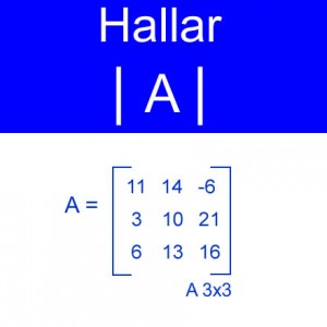 algebra lineal: calculo determinantes matriz decenales