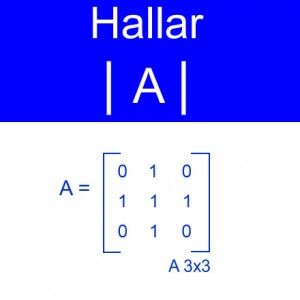 algebra lineal: calculo determinantes matriz cruz de unos