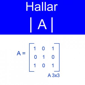 algebra lineal: calculo determinantes matriz unos en diagonal