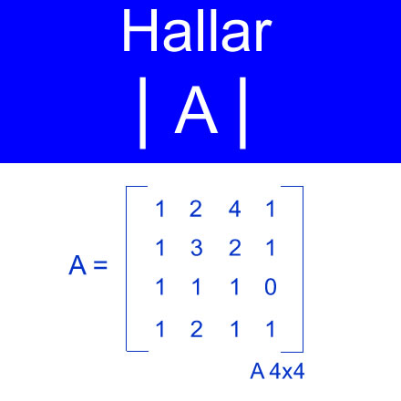 calculo determinantes (determinante de matriz con orden 4×4 diez valores uno )