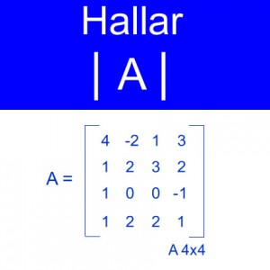 algebra lineal: calculo determinantes orden 4x4 matriz dos ceros