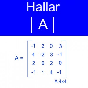 algebra lineal: calculo determinantes orden 4x4 cinco negativos