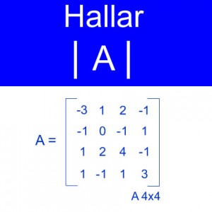algebra lineal: calculo determinantes orden 4x4 seis valores negativos