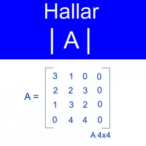 algebra lineal: calculo determinantes orden 4x4 columna de ceros