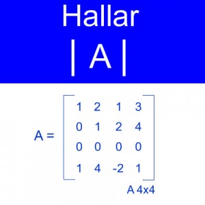 algebra lineal: calculo determinantes orden 4x4 matriz fila de ceros