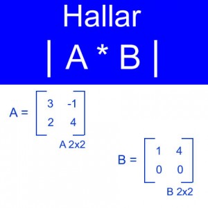 algebra lineal: calculo de determinantes a*b