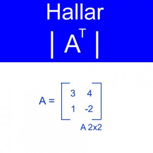 algebra lineal: calculo de determinantes at