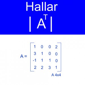 algebra lineal: calculo determinantes orden 4x4 at