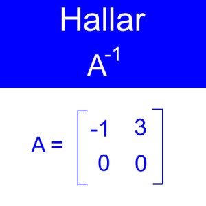 algebra lineal: calculo de inversas, inversa de una amtriz, inversa orden 2x2 fila de ceros