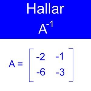 algebra lineal: calculo de inversas, inversa de una amtriz, inversa orden 2x2 cuatro negativos