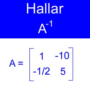 algebra lineal: calculo de inversas, inversa de una amtriz, inversa orden 2x2 dos negativos