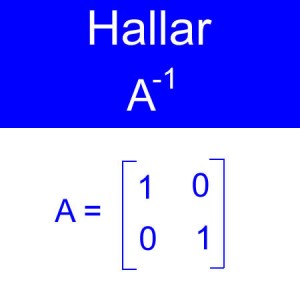 algebra lineal: calculo de inversas, inversa de una amtriz, inversa orden 2x2 ceros matriz identidad