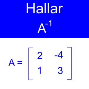 algebra lineal: calculo de inversas, inversa de una amtriz, inversa orden 2x2 un negativo