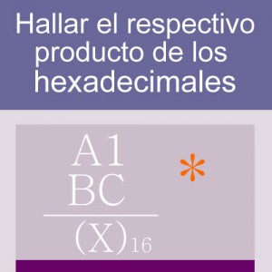 sistemas numericos: producto de hexadecimales 2 digitos 2 multiplicadores