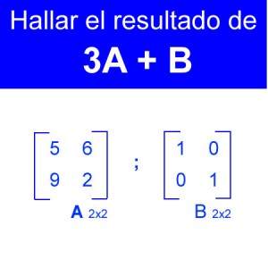 algebra lineal: suma de matrices 3a+b