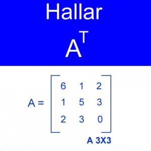 algebra lineal: hallar traspuesta de la matriz A de orde 3x3