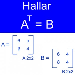 algebra lineal: hallar la traspuesta de at = b de orden 2x2