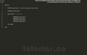 programacion en pseudocodigo: figura E