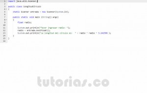 programacion en java: longitud del circulo