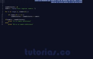 programacion en python: numero defectuoso