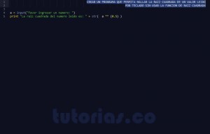 programacion en python: raiz cuadrada de un numero