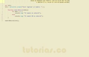 programacion en javascript: funcion numero natural