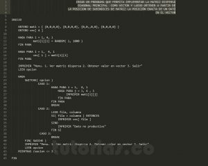 programacion en pseudocodigo: matriz dispersa diagonal principal