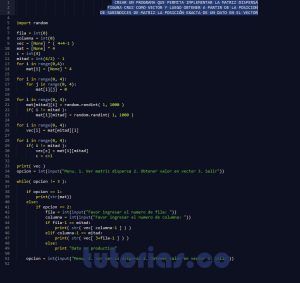 programacion en python: matriz dispersa figura cruz