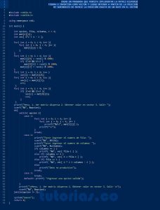 programacion en turbo C: matriz dispersa figura u invertida