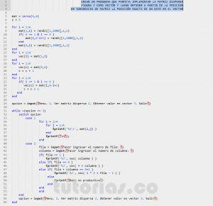 programacion en matLab: matriz dispersa figura z