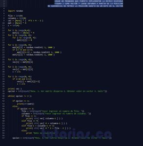 programacion en python: matriz dispersa figura z