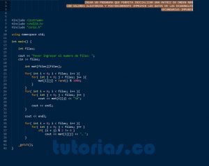 programacion en C++: datos diagonales secundarias impares