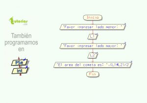 diagrama de flujo: area de un cometa