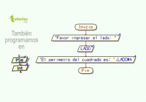 diagrama de flujo: perimetro de un cuadrado