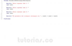programacion en pseint: perimetro de un triangulo rectangulo