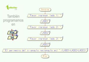 diagrama de flujo:  perimetro de un triangulo rectangulo