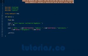 programacion en C++: conversion de megabytes