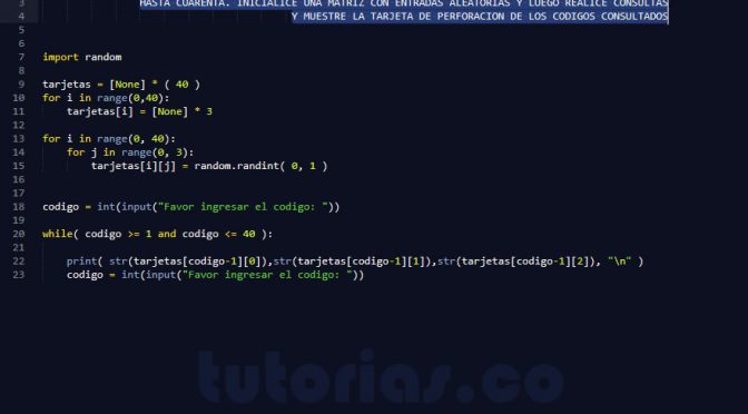 programacion en python: consulta tarjeta de perforacion