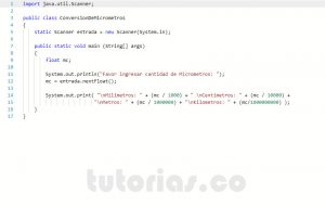 programacion en java: conversion de micrometros