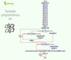 diagrama de flujo: el mas repetido de un vector ordenado